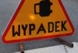 article 1